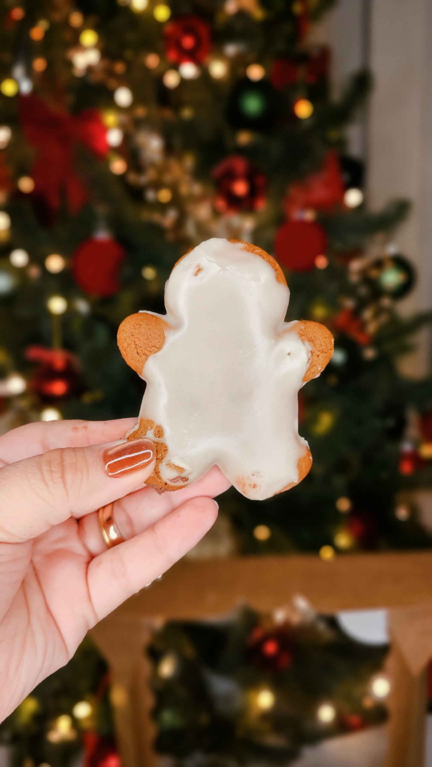 The Homesick Cookie Box 3.0