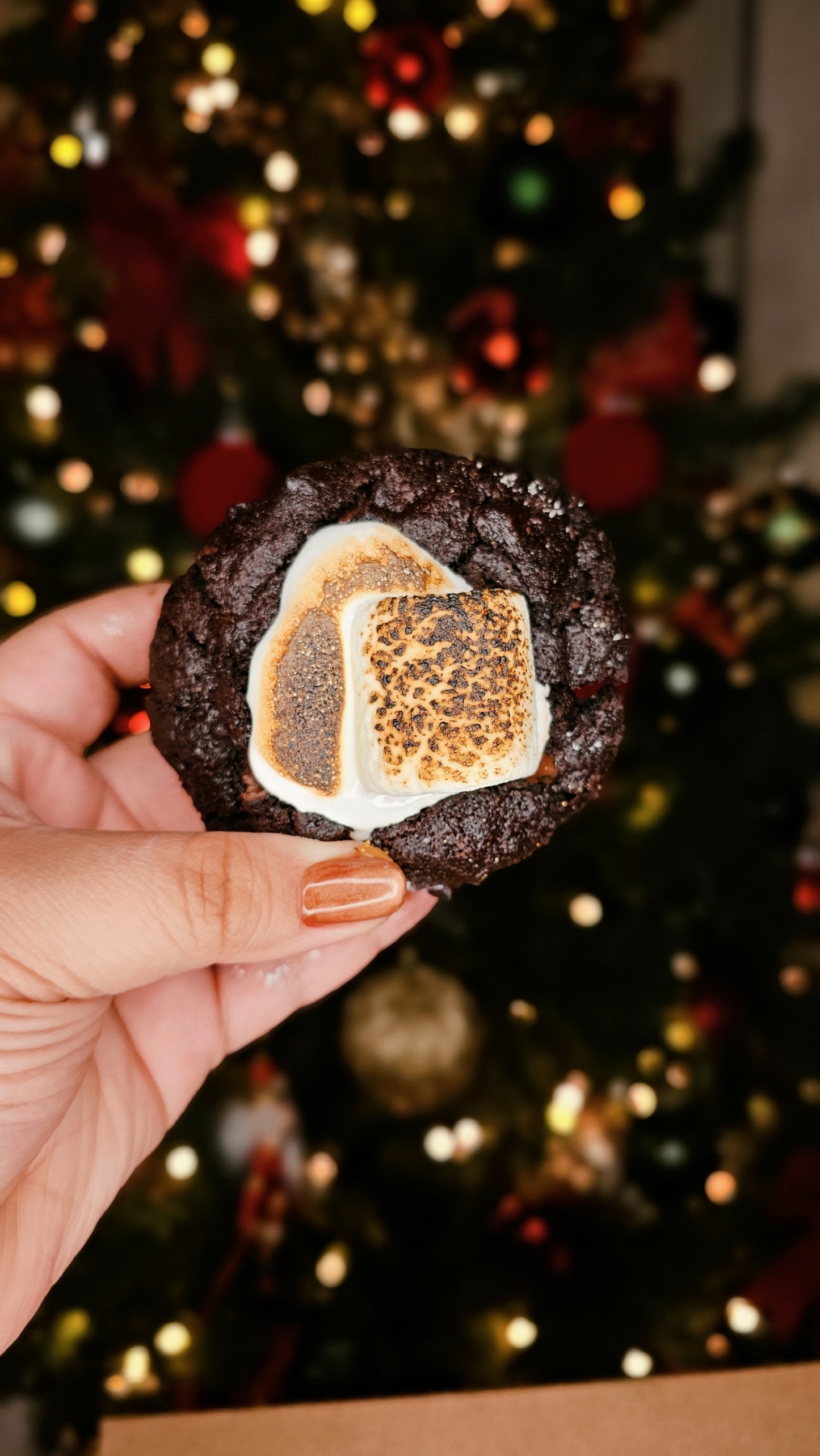 The Homesick Cookie Box 3.0